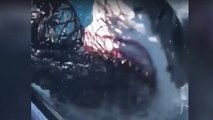 Terrifying footage shows a great white shark attacking a fishing boat