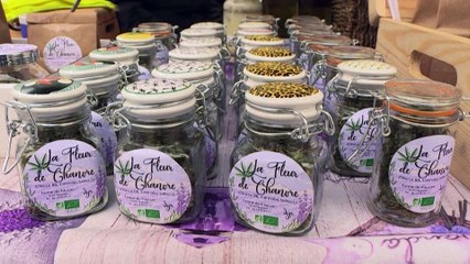 Cannabis: Nathalie Pagé, agricultrice et avant-gardiste du CBD