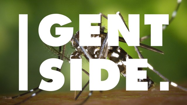 Researchers Warn That ‘Mosquitos Are The Most Dangerous Animals That Our Planet Has To Offer’