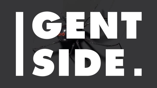 The UK’s Most Venomous Spider Is ‘Eating People Alive’