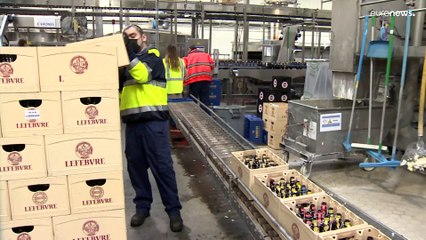 Belgian companies brace for tough times as sanctions begin to bite