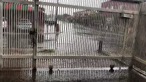 Chuva em Taguatinga Sul (DF)