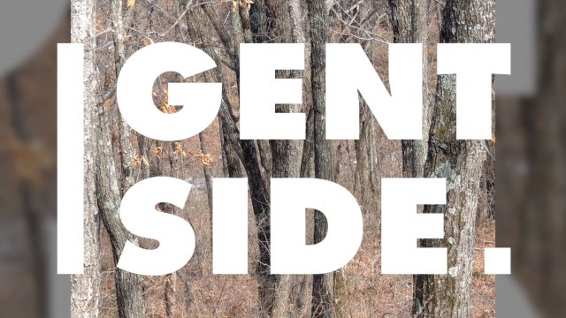 People Are Going Insane Looking For The 'Invisible Leopard' In This Image, Can You Find It?