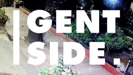 Check Out This Amazing Video Of A Dog's Miraculous Escape From A Hungry Leopard