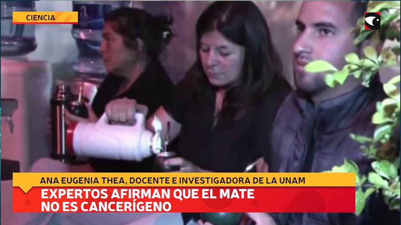 Expertos afirman que el mate no es cancerígeno