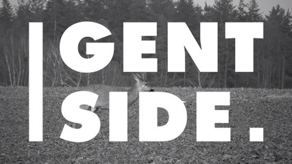 Here Is How You Can Tell The Difference Between A Roe Deer And A Red Deer