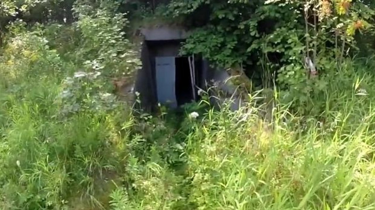 Mitten im Wald: Jugendliche entdecken einen unterirdischen Bunker, dann erkennen sie die Wahrheit