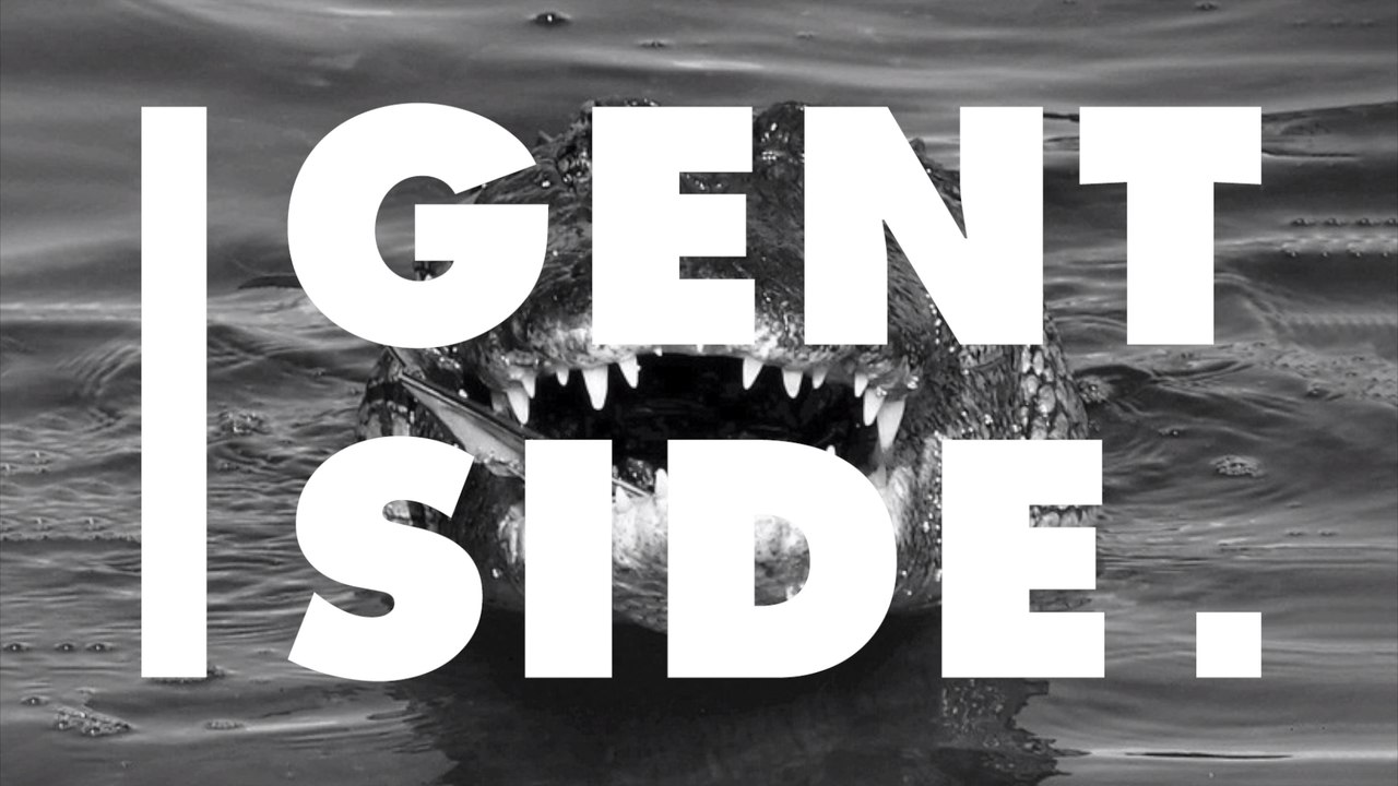 Battle Of The Reptiles: Check Out The Footage Of A Snake Trying To Escape From The Jaws Of An Enormous Crocodile