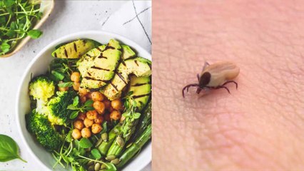 Your Eating Behaviour Could Be Reprogrammed After Being Bitten By This Tick