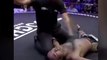 A Muay Thai Fighter Sent Both His Opponent And The Referee To The Ground