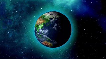 Fukushima: Wild animals have started repopulating this radioactive area