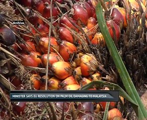 Minister says EU resolution on palm oil damaging to Malaysia
