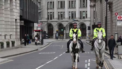 What exercises are you allowed to do during the quarantine?