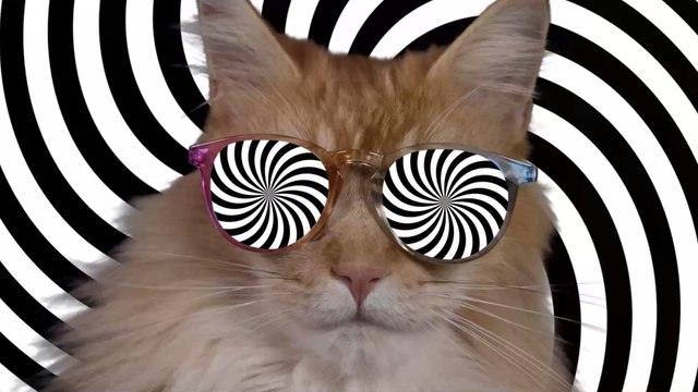 You Won't be Able to See Straight After Watching This Optical Illusion