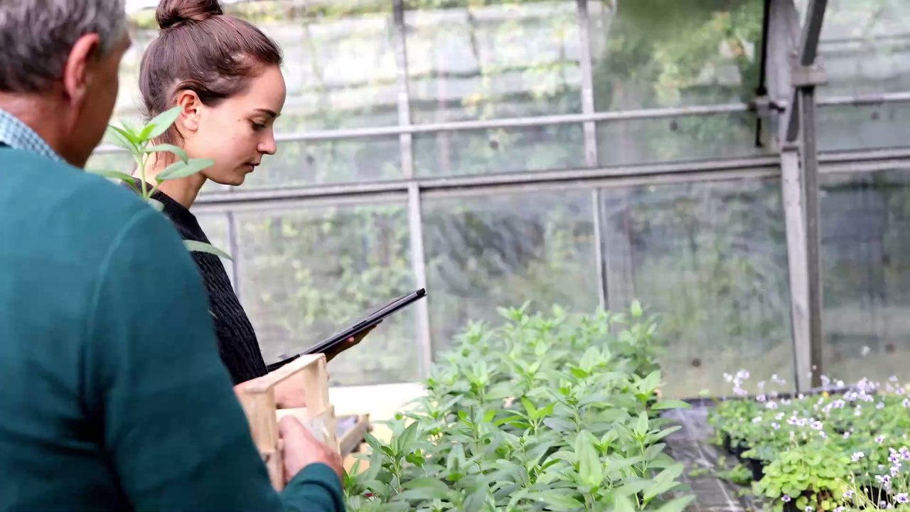 Should You Be Buying Less, or Buying ‘Green?’ Science Has the Answer