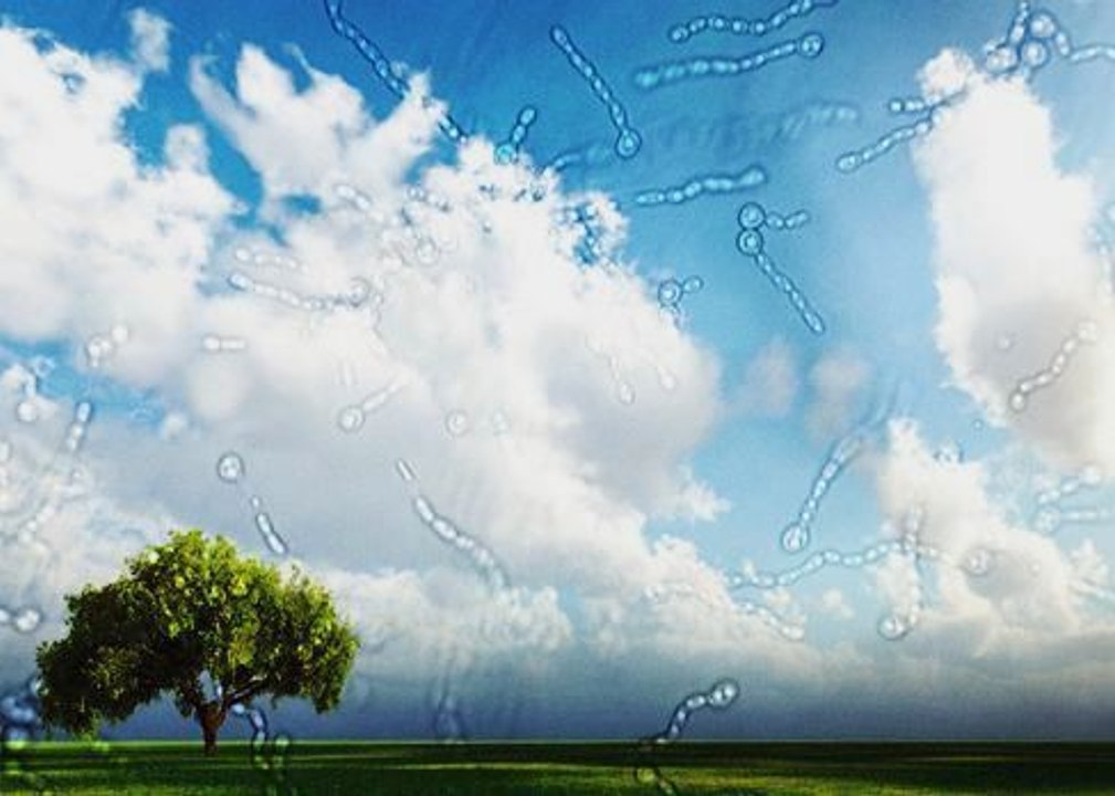 This is the real reason you get little blobs of light in your vision