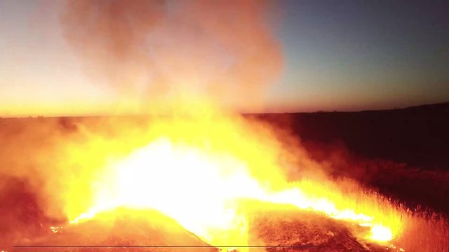 Radiation Levels Have Soared as a Result of the Fires Currently Ravaging the Forest Surrounding Chernobyl