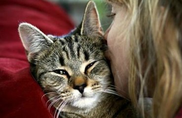 This Is How You Can Tell If Your Cat Really Loves You Or Not