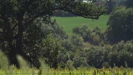 Think your allergies are getting worse? You're not the only one and science explains why