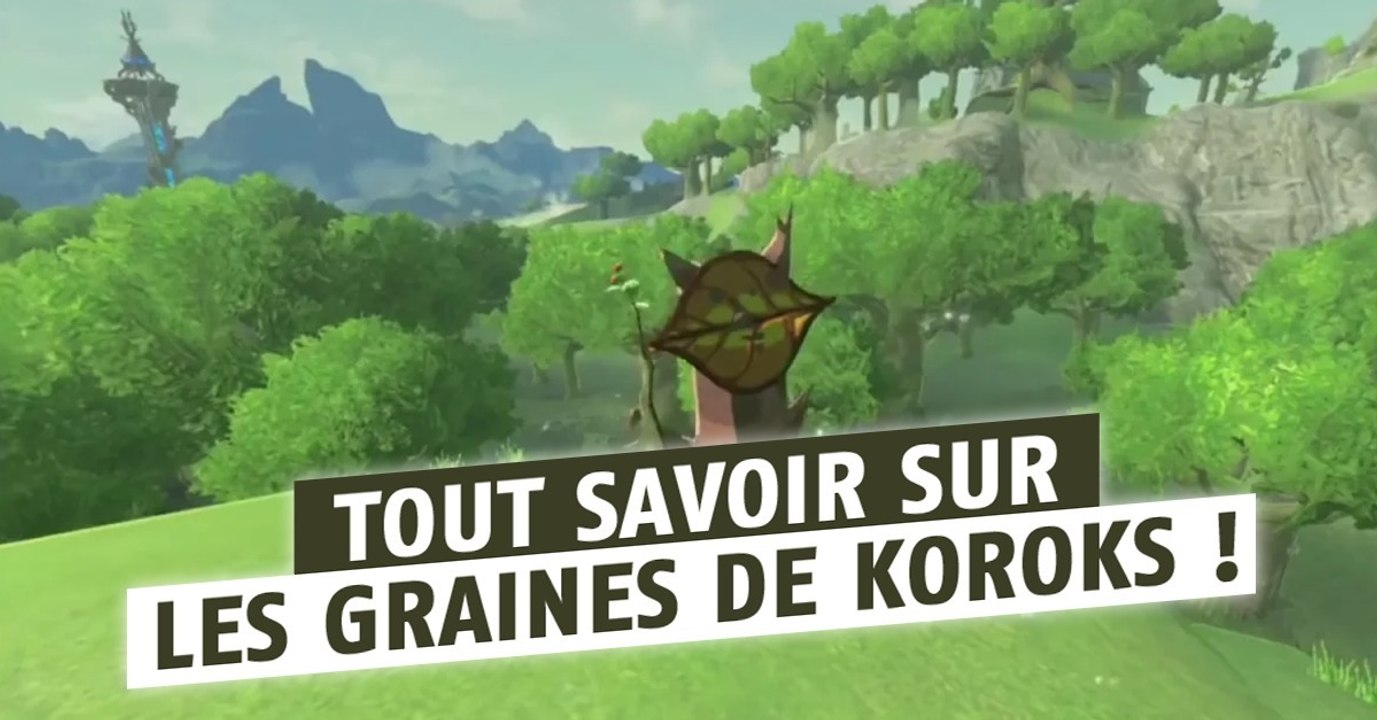 Zelda : Breath of the Wild, les Korogus : emplacements, astuces, armes et noix, tout savoir sur les plantes du jeu