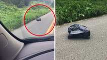 She Noticed a Bag of Trash on the Side of the Road, What She Found Inside is Heartbreaking