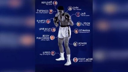 12boxers were combined to reveal the perfect fighter