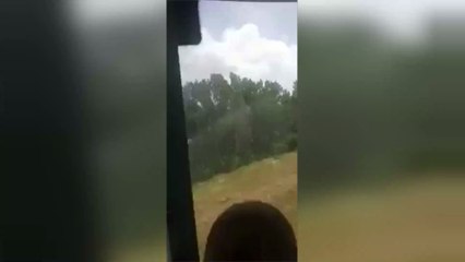 Mercedes Gets Painted in Poop After Illegally Parking on Farmers Land in Cornwall