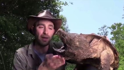 Animal Expert Coyote Peterson Lets Snapping Turtle Bite His Arm