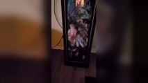 Man records haunted porcelain dolls, confirming our worst nightmare