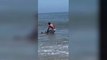 Shocking Footage Shows Man Wrestling a Shark With His Bare Hands for a Photo