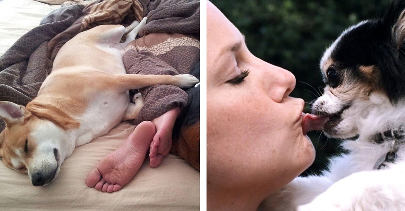 This study has revealed Brit pet owners have some rather unusual habits...