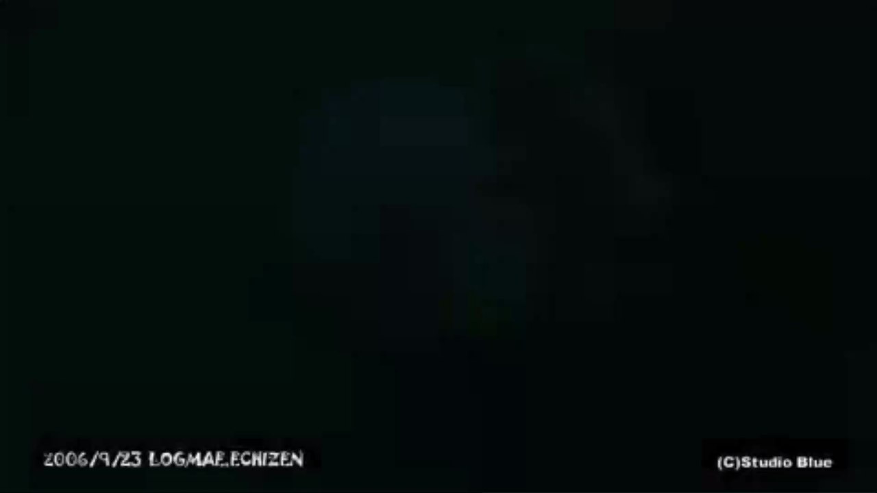 This Type of Jellyfish Suffocates Its Victims to Death With Its Sting