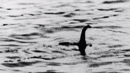 A new photo reignites the debate on the Loch Ness Monster