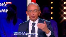 Eric Zemmour : «Je veux supprimer le droit du sol car il est devenu une des armes du grand remplacement»