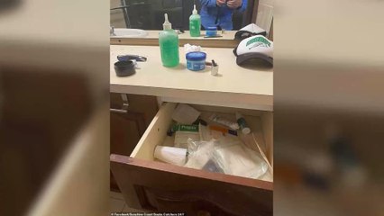 This is the second deadliest snake—can you spot it?