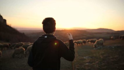 Farmer left baffled after his sheep gave birth to a rare cyclops lamb
