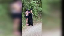 A shameless bear decides to crash the selfie of mindless tourists