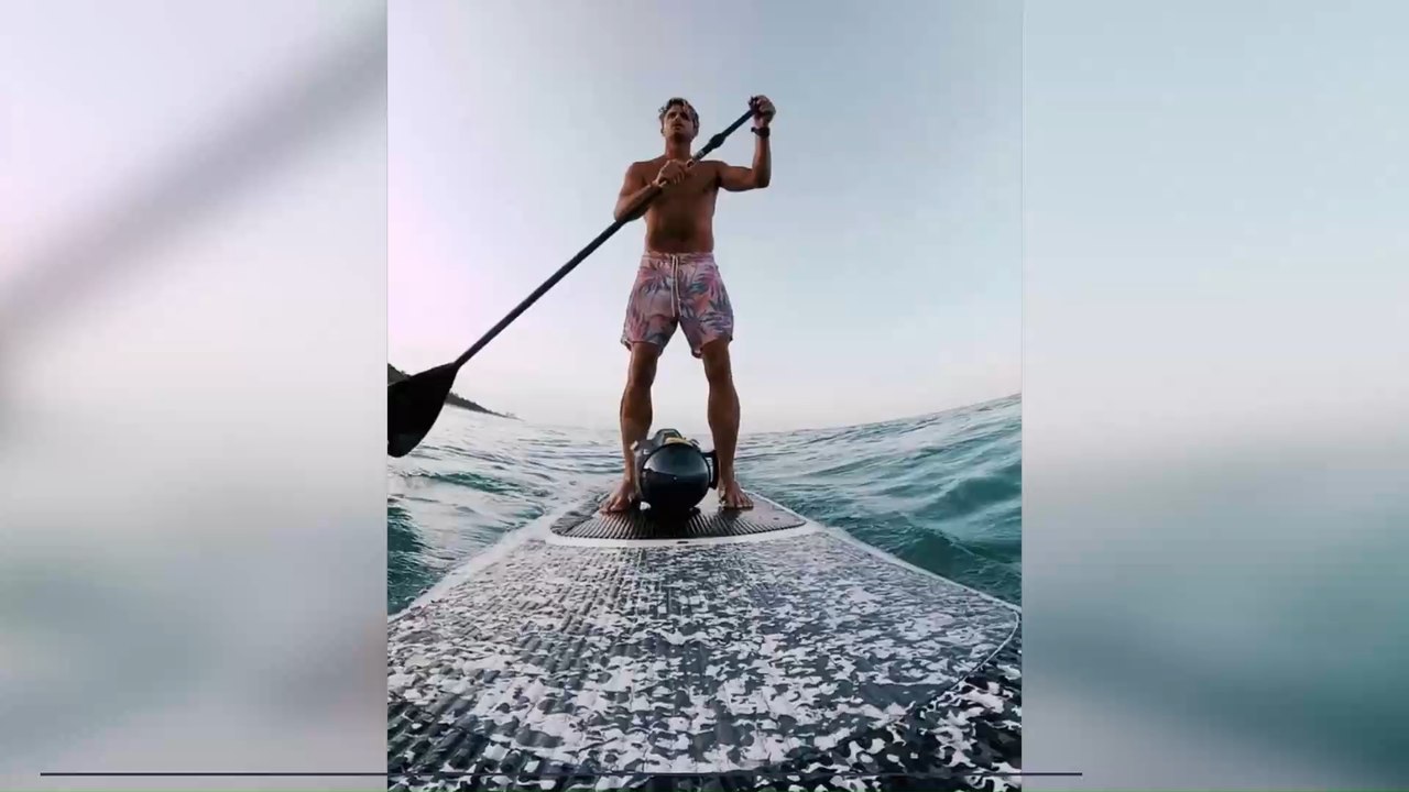 Check out this spectacular video of one shark devouring another shark