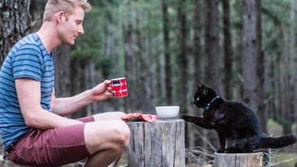 This man dropped everything to travel the world with his cat
