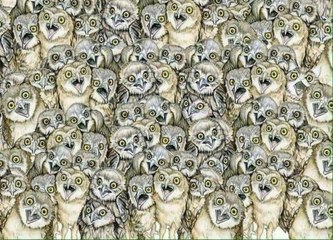85% Of Internet Users Can't Find The Cat Hidden In This Picture, Can You?