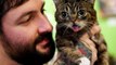 Beloved Viral Sensation 'Lil Bub' The Cat Has Died