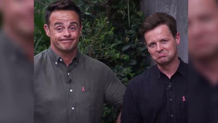 I'm a Celebrity 2020 stars warned they may have to face aggressive seagull attacks