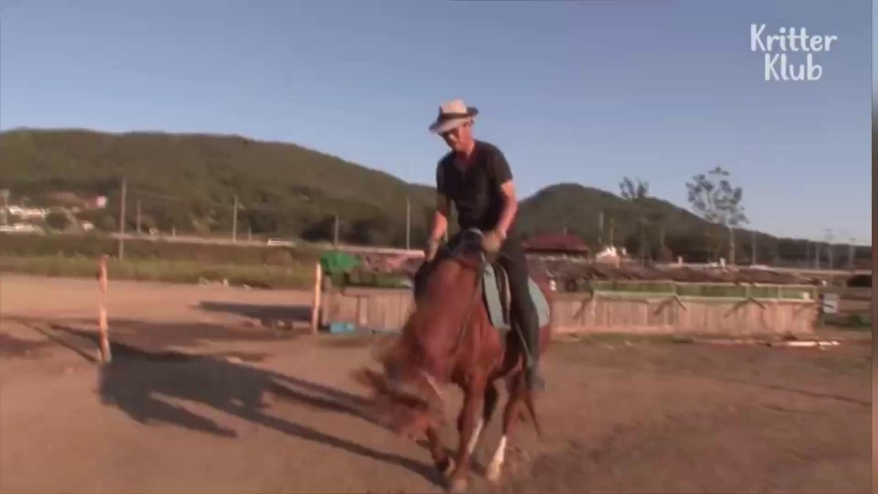 This Horse Plays Dead Every Time Someone Tries to Ride It (VIDEO