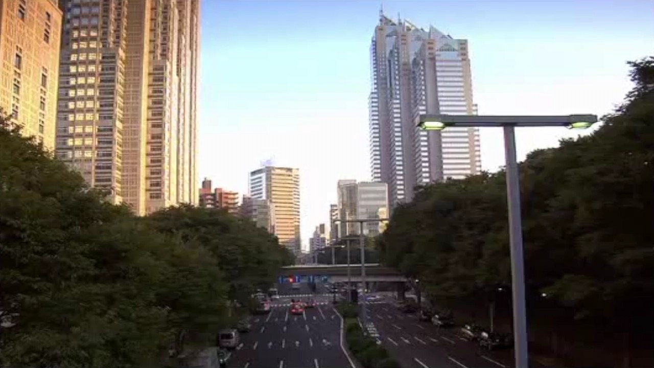 This tourist got way more than he expected when he asked for help on the Japanese metro