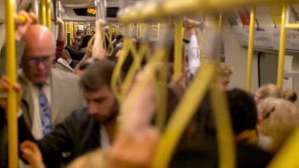 Transport For London is considering making public transport free!