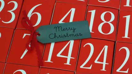 BrewDog is launching their very own beer advent calendar!
