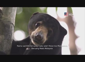 Cerita Negaraku - Wong Siew Te