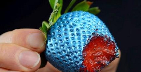 Ever Wondered How How Colour-Blind People See The World? This Video Will Answer All Your Questions