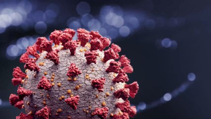 Nasal Spray Developed by Australian Scientists Shows Promising Signs Against COVID-19