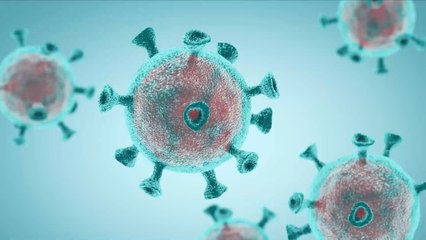 A 14-year-old has discovered a possible coronavirus treatment
